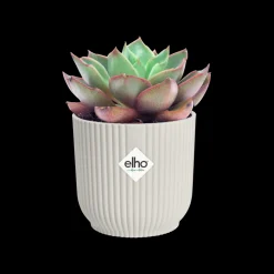 Potten En Vazen|Ecocheques|ohgreen Pot vibes fold 9cm zijdewit