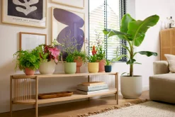 Potten En Vazen|Ecocheques|ohgreen Pot vibes fold coupe 14cm delicate roze