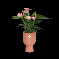 Potten En Vazen|Ecocheques|ohgreen Pot vibes fold coupe 14cm delicate roze