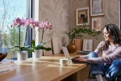 Potten En Vazen|Ecocheques|ohgreen Pot Vibes fold orchidee