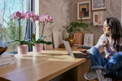 Potten En Vazen|Ecocheques|ohgreen Pot Vibes fold orchidee
