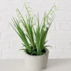 Sfeermakers|ohgreen Potplant