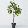 Sfeermakers|ohgreen Potplant Citroen