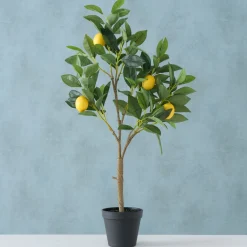 Sfeermakers|ohgreen Potplant Citroen