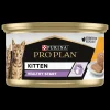 Kat Voeding|Werelddierendag|ohgreen Pro Plan Cat Kitten Kip Can 85g