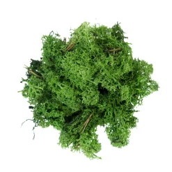 Lemax Kerstdorpen|ohgreen Rendiermos donkergroen 50g