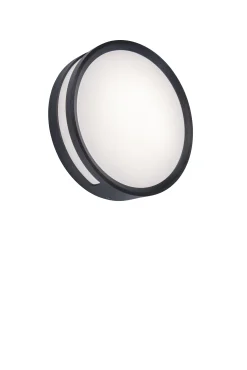 Verlichting|Ecocheques|ohgreen Rola wand / plafondlamp donkergrijs led 13w