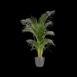Ecocheques|Potten En Vazen|ohgreen Rond 14cm