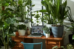 Ecocheques|Potten En Vazen|ohgreen Rond 14cm