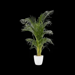 Ecocheques|Potten En Vazen|ohgreen Rond 25cm
