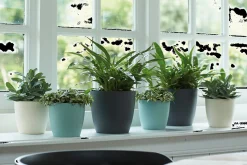 Ecocheques|Potten En Vazen|ohgreen Rond 18cm