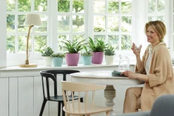 Potten En Vazen|Ecocheques|ohgreen Rond 16cm
