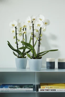 Kunststof|Ecocheques|ohgreen Rond 16cm
