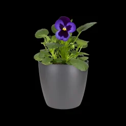 Ecocheques|Potten En Vazen|ohgreen Rond 10,5cm