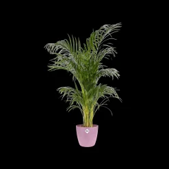 Potten En Vazen|Ecocheques|ohgreen Rond 18cm