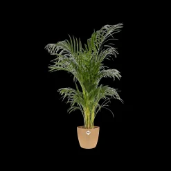 Potten En Vazen|Ecocheques|ohgreen Rond 16cm