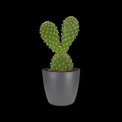 Ecocheques|Potten En Vazen|ohgreen Rond mini 7cm