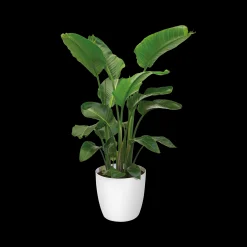 Ecocheques|Potten En Vazen|ohgreen Rond wielen 47cm