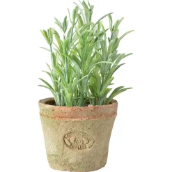 Sfeermakers|Ecocheques|ohgreen Rosemarijn in at pot s