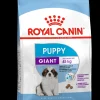 Werelddierendag|Hond Voeding|ohgreen Shn puppy giant 3.5kg