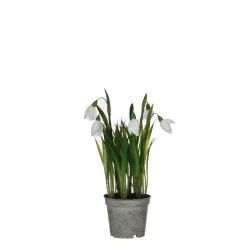 Sfeermakers|ohgreen Sneeuwklokje in witte plastic pot - h24xd8,5cm