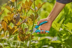 Ecocheques|Handgereedschap|ohgreen Snoeischaar EasyCut