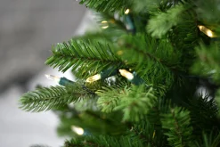 Kerstbomen|Kerstbomen Kunststof|ohgreen Snowy norfolk entr. tree pot 137cm 200l transfo