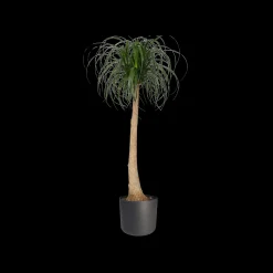 Ecocheques|Potten En Vazen|ohgreen SOFT ROND 25CM ANTRACIET