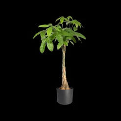 Ecocheques|Potten En Vazen|ohgreen SOFT ROND 35CM ANTRACIET
