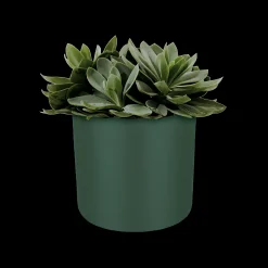 Ecocheques|Potten En Vazen|ohgreen SOFT ROND 14CM BLAD GROEN