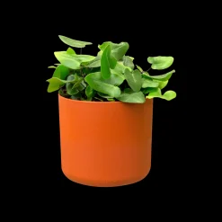 Ecocheques|Potten En Vazen|ohgreen SOFT ROND 16CM BRIQUE