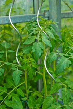 Bind En Steun|Ecocheques|ohgreen Spiraalvormige plantensteun