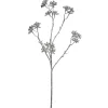 Kerstdecoratie|ohgreen Steranjs 62cm zilver