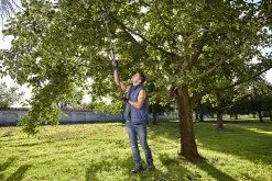 Maak Je Tuin Lenteklaar|Handgereedschap|ohgreen Takkenschaar StarCut 160 plus