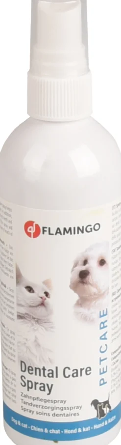 Verzorging|ohgreen Tandverzorgingsspray munt -  spray
