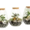 Composities En Terrariums|Ecocheques|ohgreen Terrarium arrangement