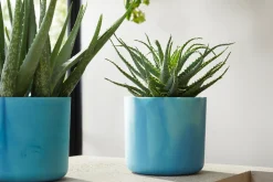 Potten En Vazen|Ecocheques|ohgreen The Ocean Collection 14cm Atlantic blue