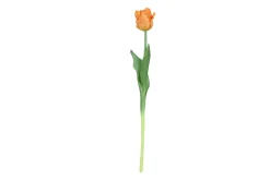 Sfeermakers|ohgreen Tulipa