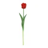 Sfeermakers|ohgreen Tulipa