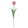 Sfeermakers|ohgreen Tulipa