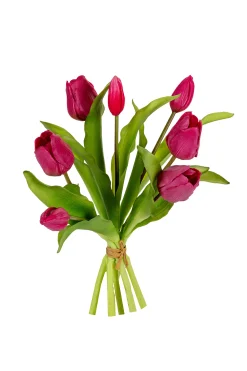 Sfeermakers|ohgreen Tulpenbundel kersenrood