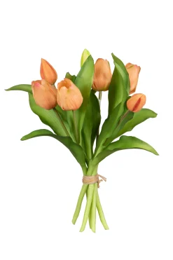Sfeermakers|ohgreen Tulpenbundel zalm