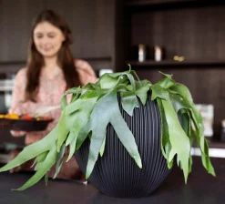 Potten En Vazen|ohgreen Vaas bol groove 21x19