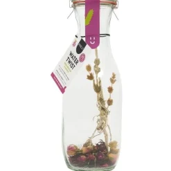 Apéro Moment|Drank|ohgreen Water twist roos bergthee karaf