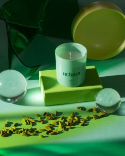 Geuren|ohgreen We are kaars re:born
