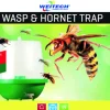Vliegen En Wespen|ohgreen Wespen- en hoornaarval