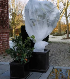 Winter|Ecocheques|ohgreen Winterafdekvlies 2x5m wit 30g/m²