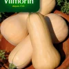 Zaden|Ecocheques|ohgreen Zaden pompoen waltham butternut 2g